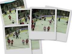 collage1