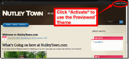 Preview a WordPress Theme
