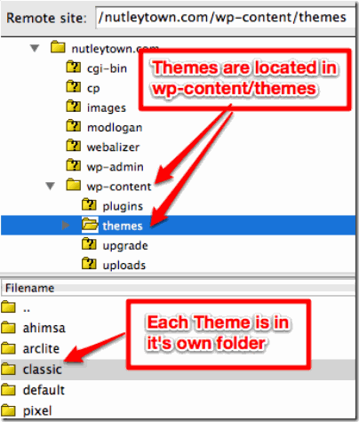 Location of Wordpress themes on your server