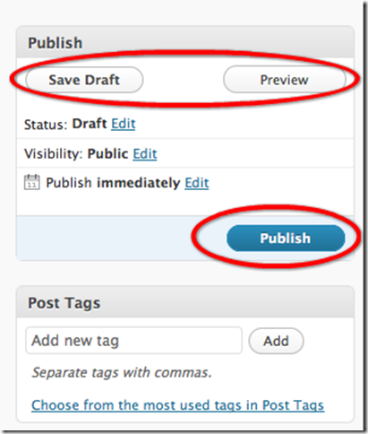 Publish Wordpress Article