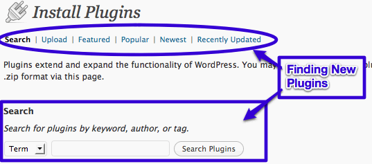 WordPress Plugin Serch Options